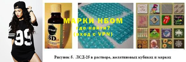 сатива Балахна