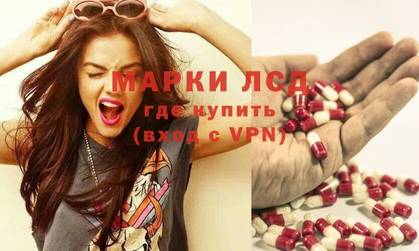дмт Аркадак