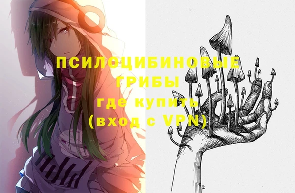 сатива Балахна