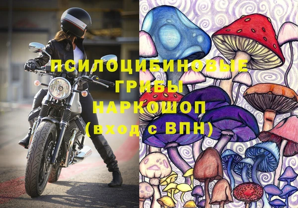 соль ск Арсеньев